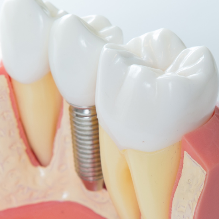 Diseño sin título (33)